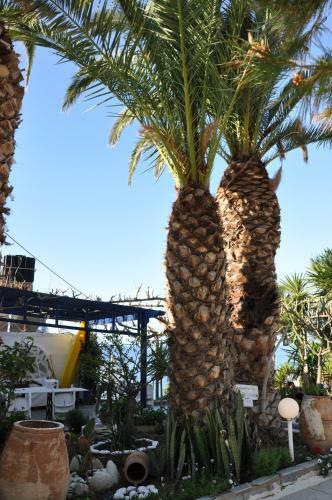 Aparthotel Big Blue