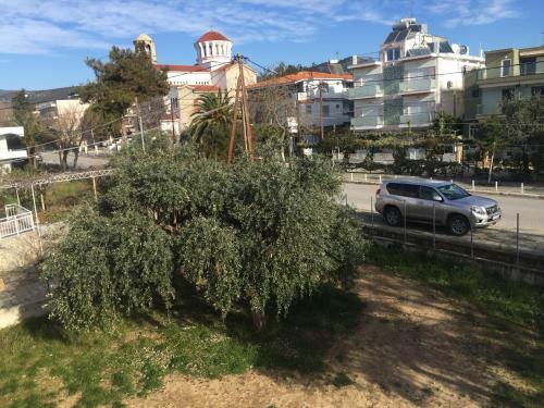 Sunny Beach Apartments