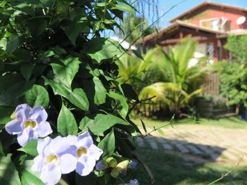 Apartamento Pousada Vistacalma