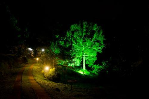 Hostal Pousada Arauc�ria