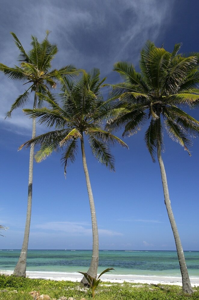 Hotel The Palms Zanzibar - All Inclusive