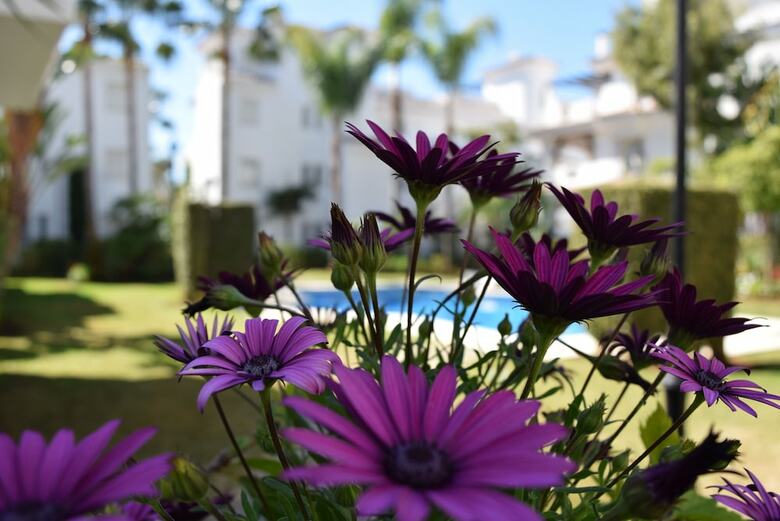 Apartamentos Y Casas Serinamar Marbella
