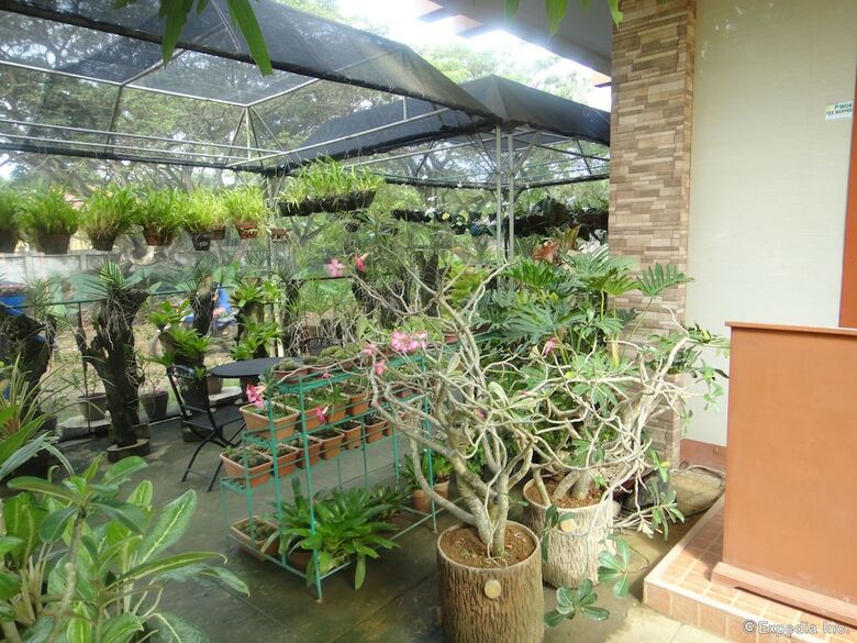 Hotel Casanas Suites