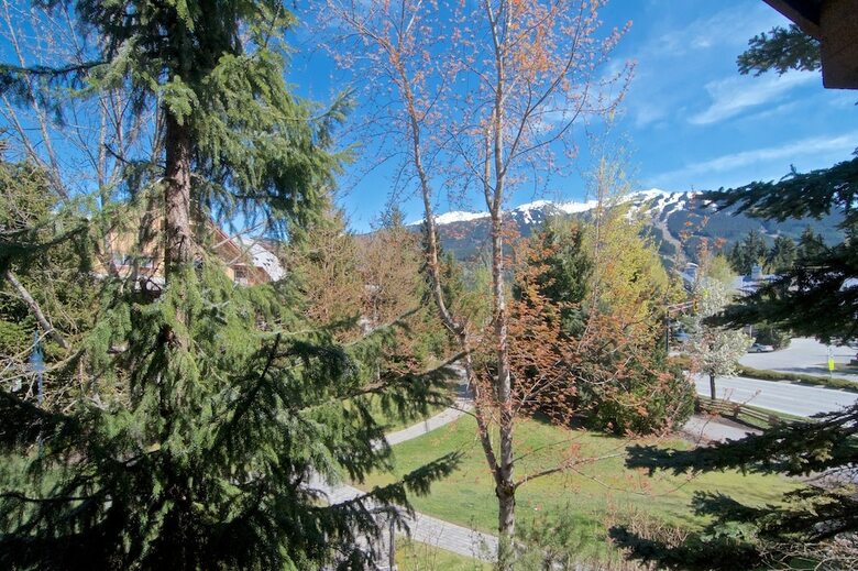 Whistler Blackcomb Vr At Glaciers Reach