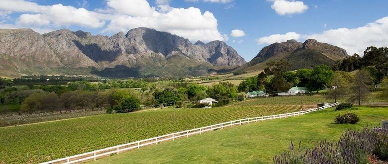 Mont Rochelle Hotel & Vineyard