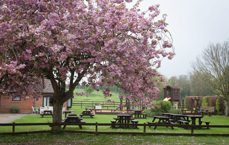 Posada The Langton Arms