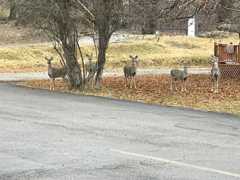 Good Medicine Lodge Bed & Breakfast