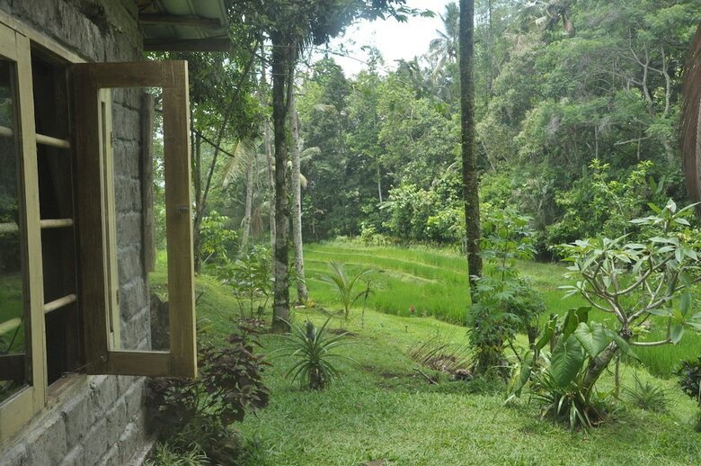 Hotel Tepi Sawah Lodge