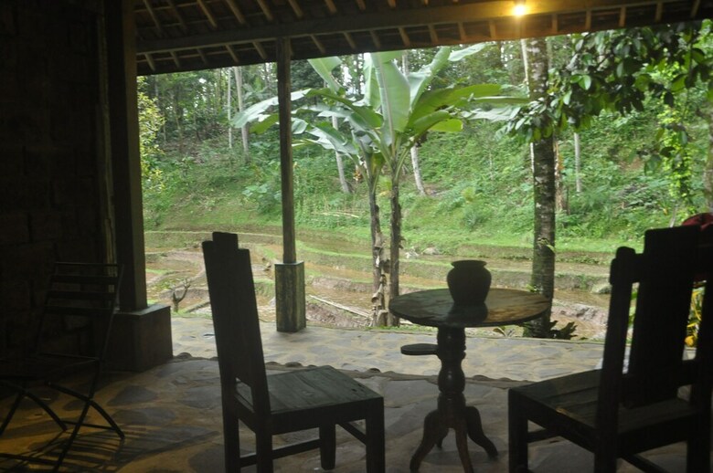 Hotel Tepi Sawah Lodge