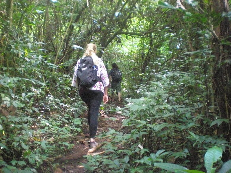 Hotel Tepi Sawah Lodge