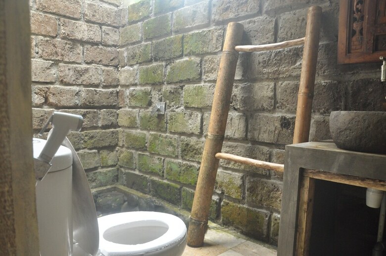 Hotel Tepi Sawah Lodge