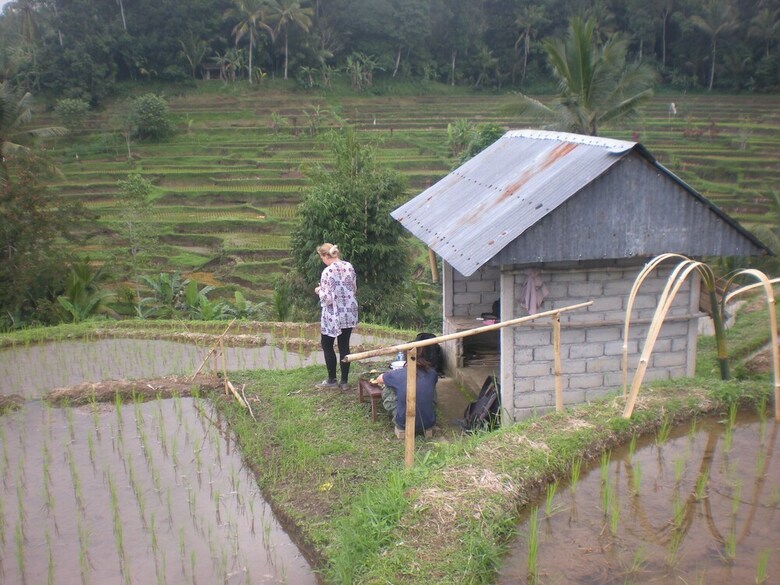 Hotel Tepi Sawah Lodge