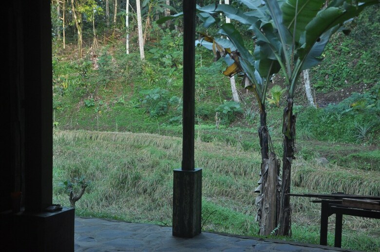 Hotel Tepi Sawah Lodge