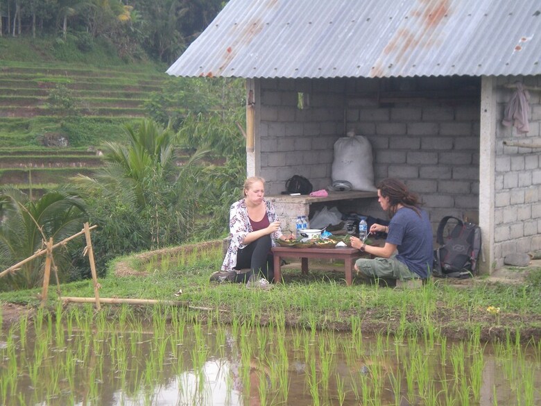 Hotel Tepi Sawah Lodge
