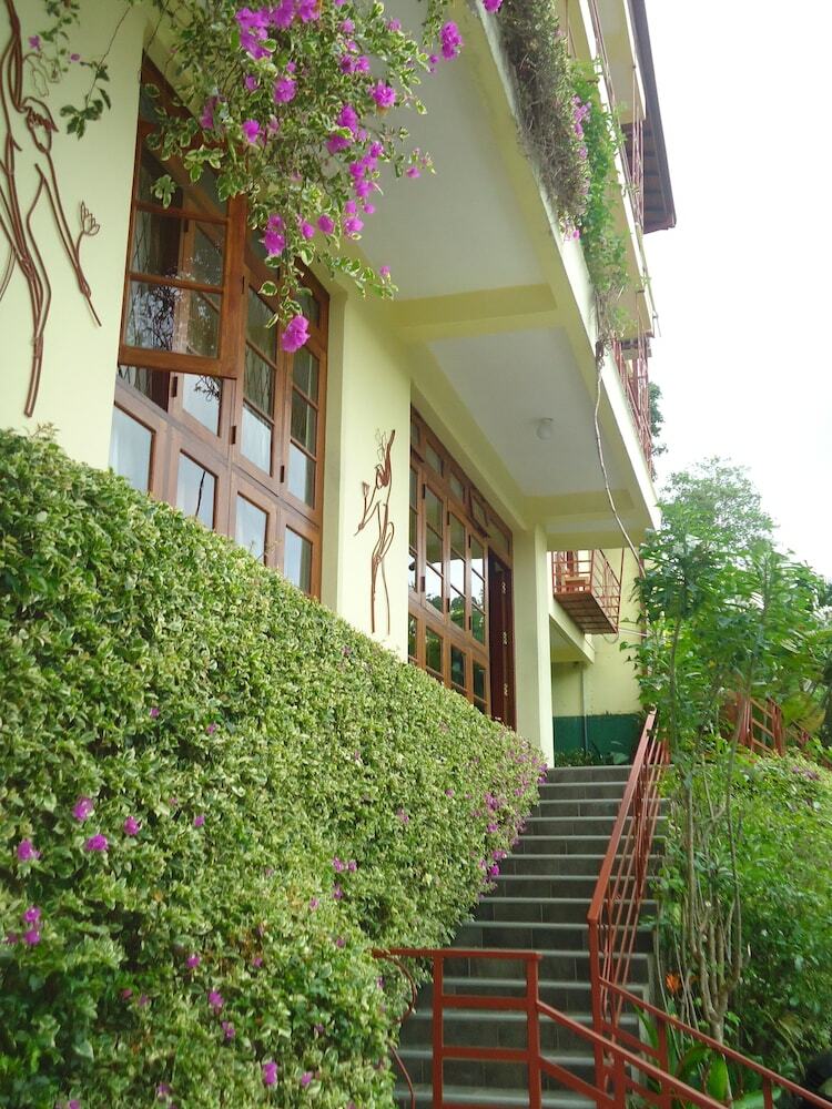 Hotel Nature Walk Resort