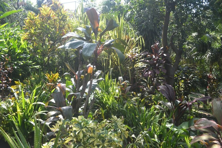 Bed & Breakfast Eden Atenas