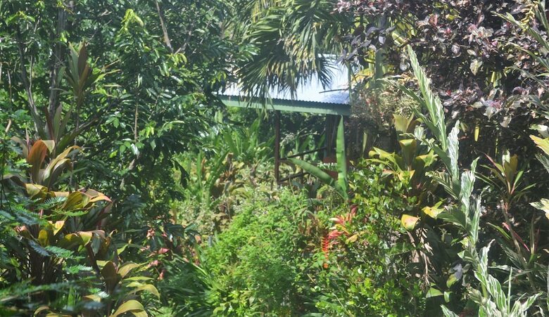 Bed & Breakfast Eden Atenas