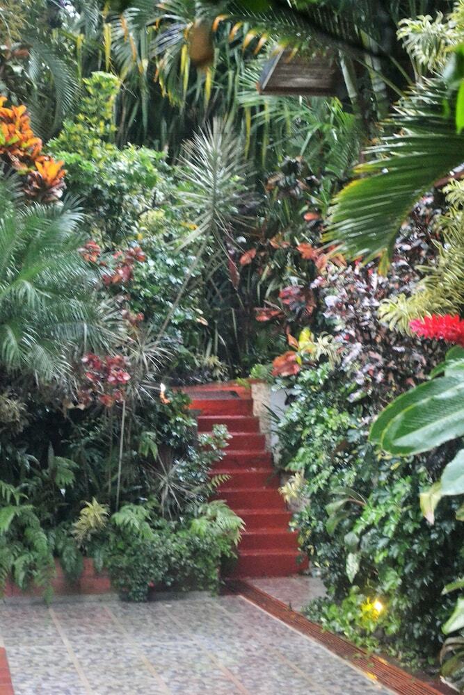 Bed & Breakfast Eden Atenas
