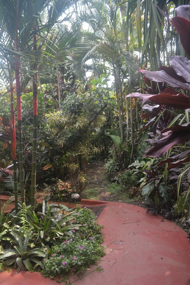 Bed & Breakfast Eden Atenas