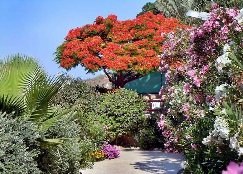 Rododafni Beach Apartments