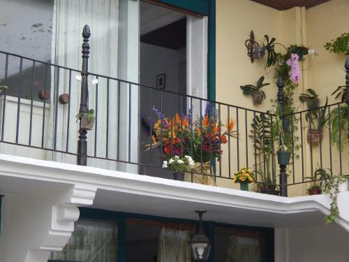 Bed & Breakfast Casa S�o Conrado