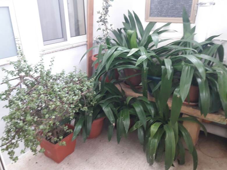 Apartamento Estrella Lodging