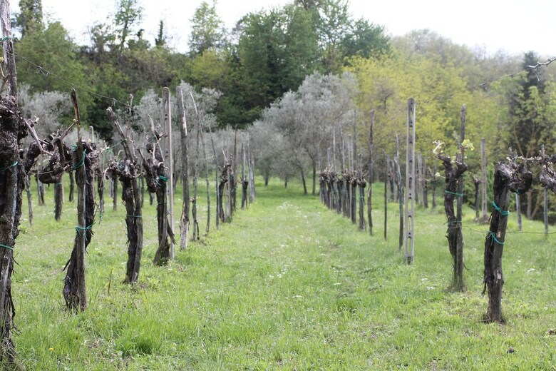 Agroturismo Molino Le Gualchiere
