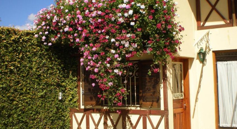 Hostal Pousada Alpes Da Serra