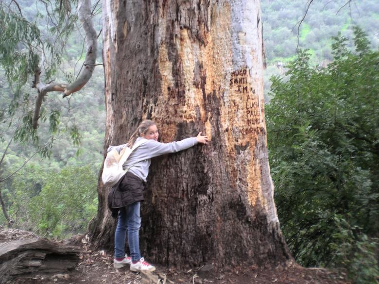 Hostal Centro de Naturaleza Ca�ada Verde