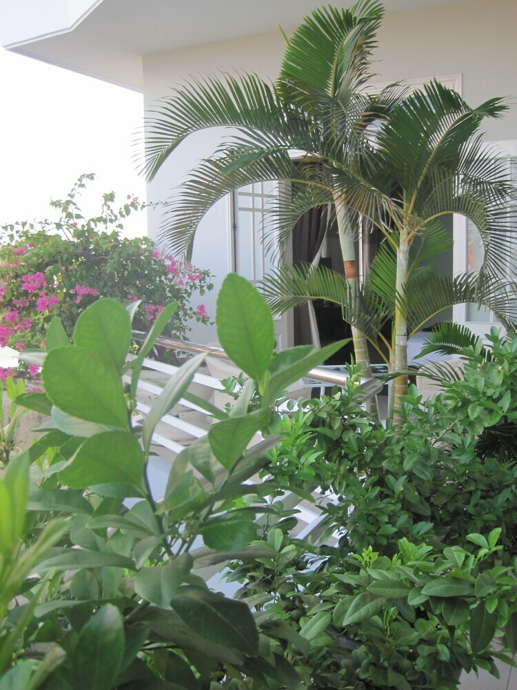 Bed & Breakfast The Moon Villa Hoi An