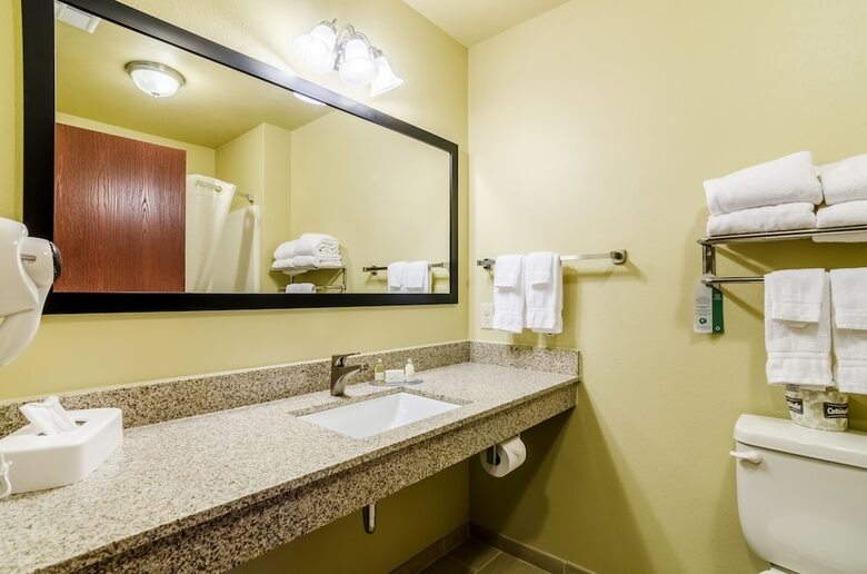 Hotel Cobblestone Inn & Suites - Oberlin