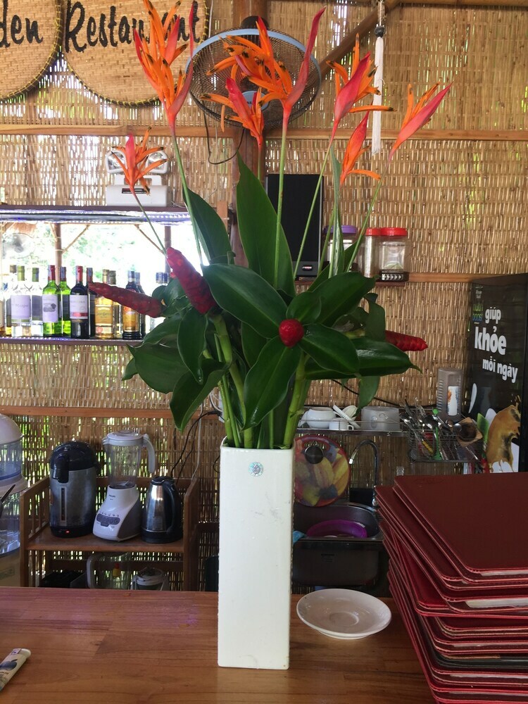 Bed & Breakfast Tropical Garden Homestay