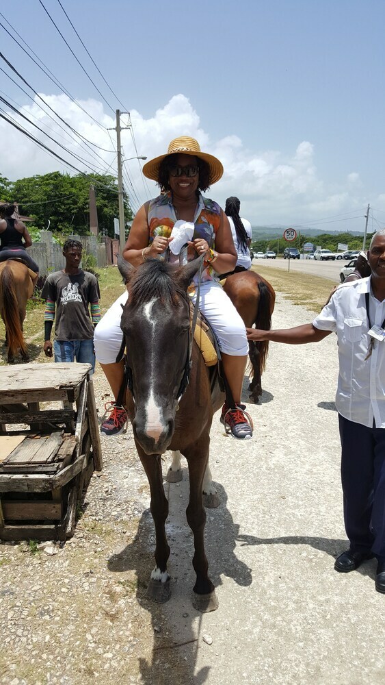 Ocho Rios Villa At Coolshade IV
