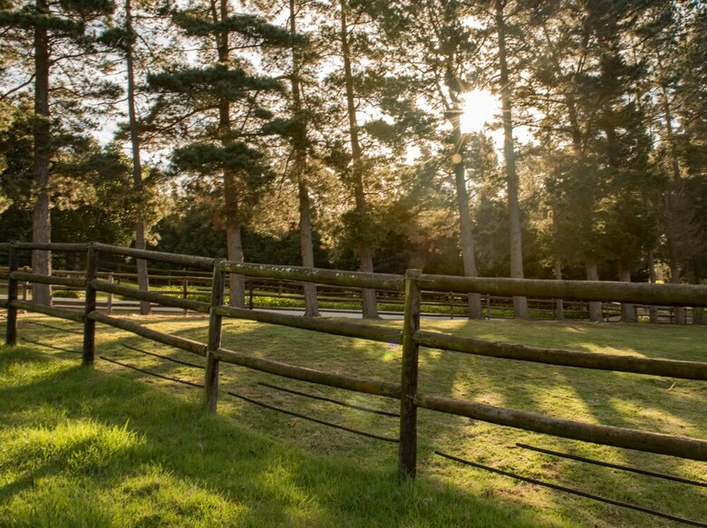 High Season Farm