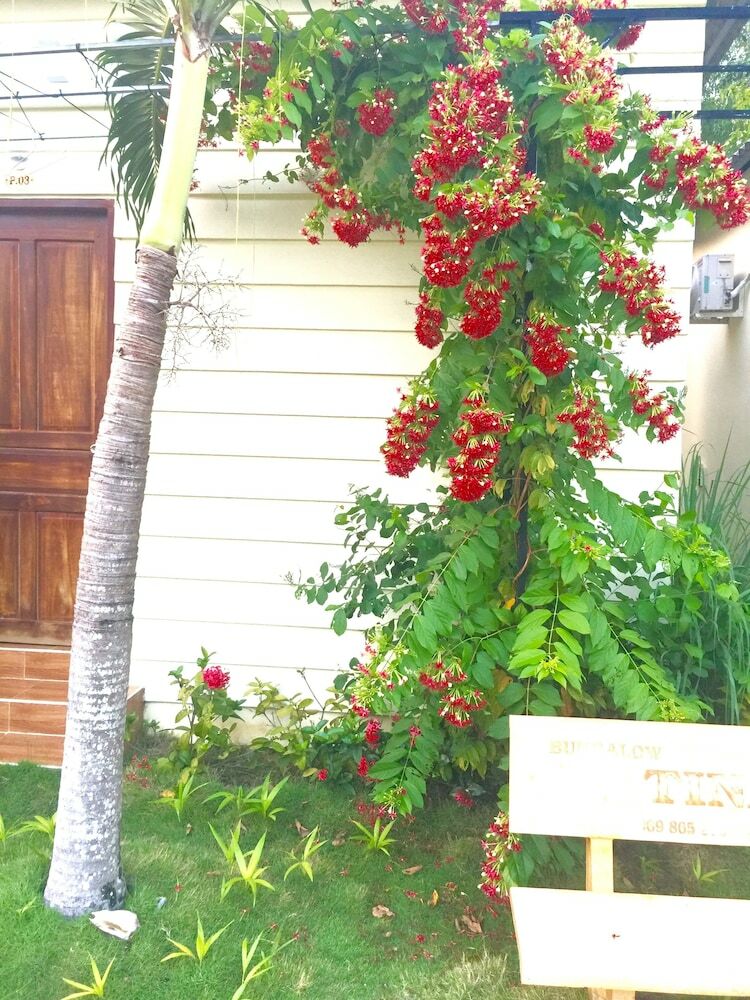 Hotel Tina Bungalow