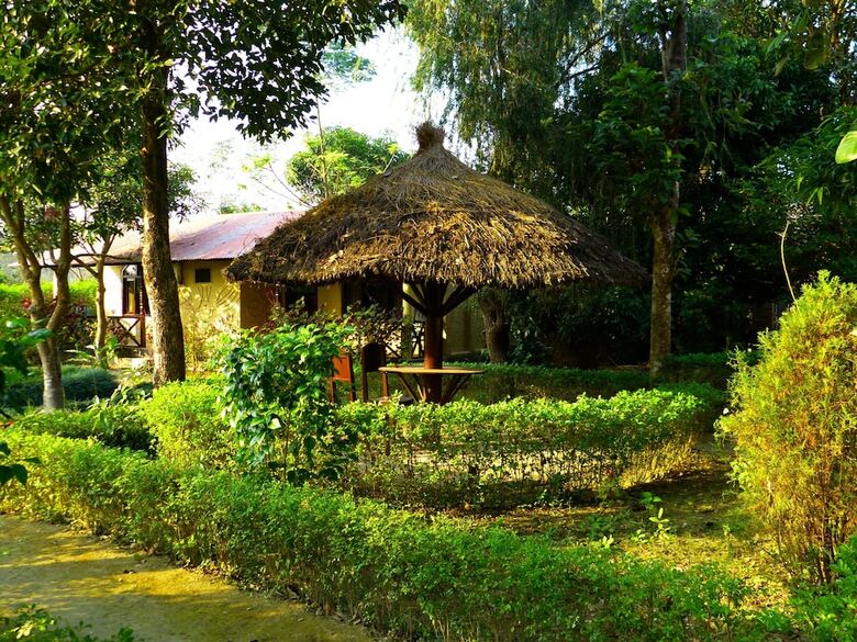 Hotel Nature Safari Resort