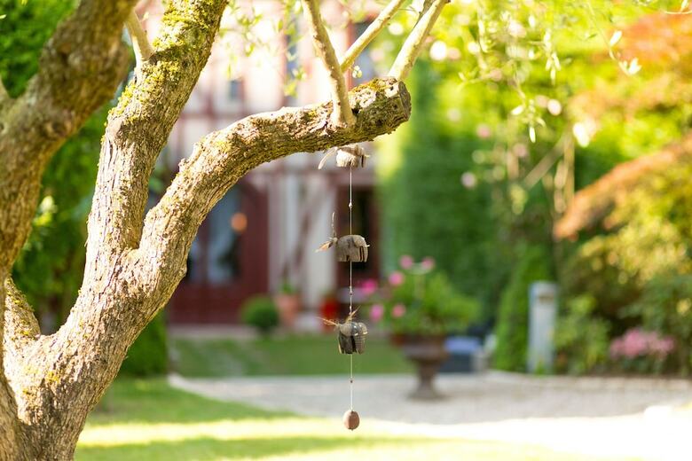 Hotel H�tel Au Charme Rabelaisien