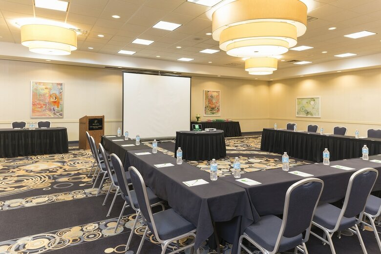 Hotel Holiday Inn Chicago - Elk Grove