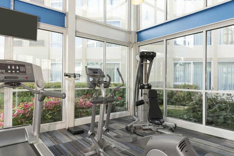 Hotel Holiday Inn Chicago - Elk Grove