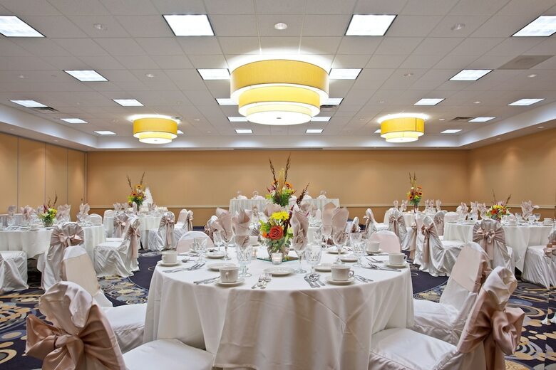 Hotel Holiday Inn Chicago - Elk Grove