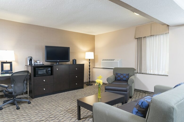Hotel Holiday Inn Chicago - Elk Grove