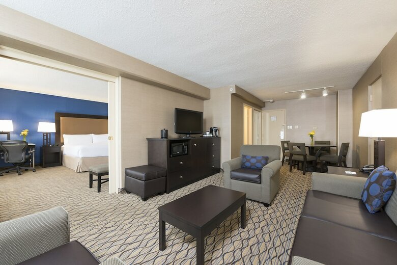 Hotel Holiday Inn Chicago - Elk Grove