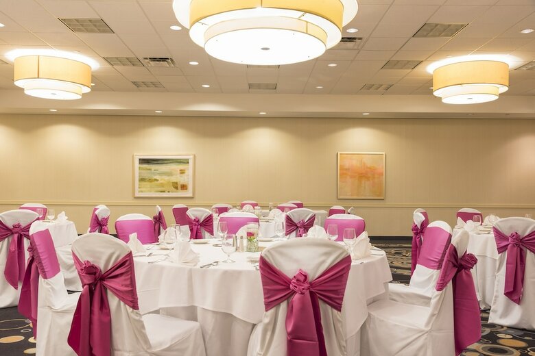 Hotel Holiday Inn Chicago - Elk Grove