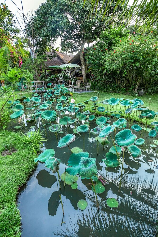 Hotel Swasti Eco Cottages