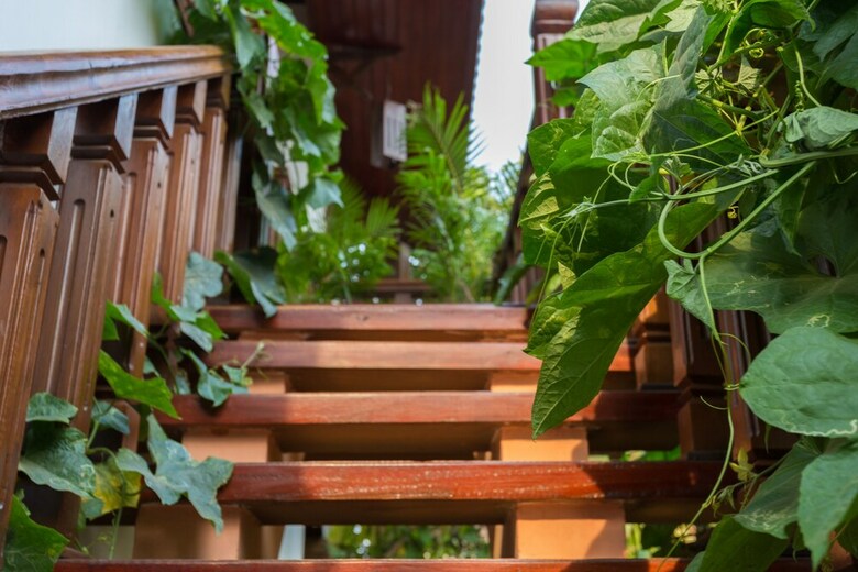 Hotel Malu Khmer Villa