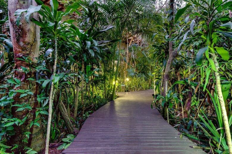 Posada Forest Lodge