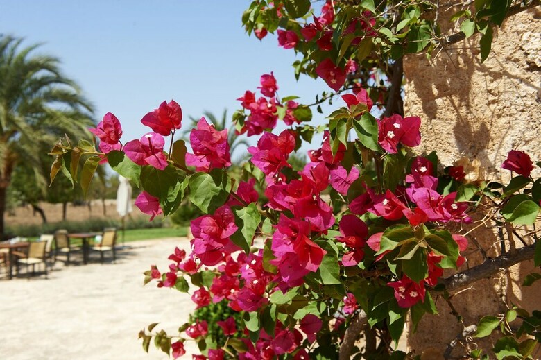 Agroturismo Son Capellot