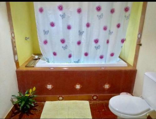 Hostal Pousada Recanto Da Siriema