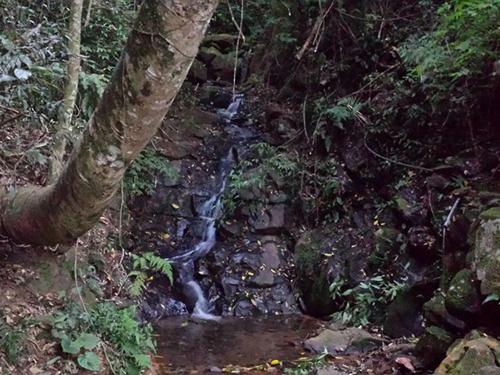 Hostal Pousada Recanto Da Siriema
