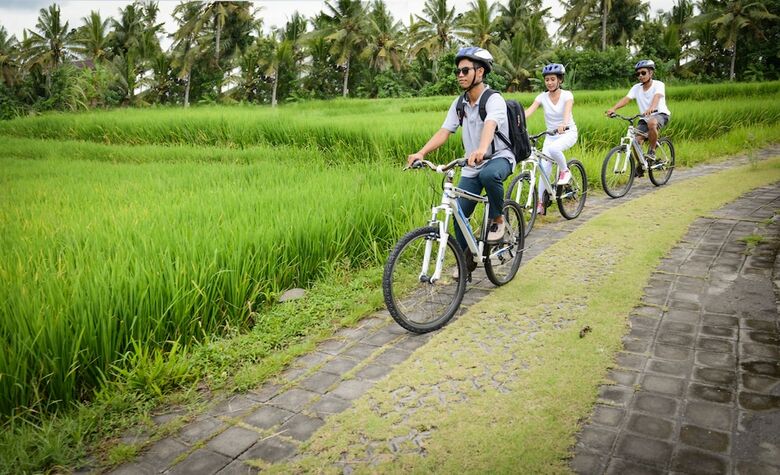 Hotel Purana Boutique Resort